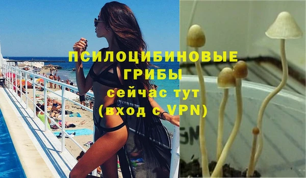 тгк Алзамай